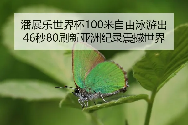 pan-zhan-le-shi-jie-bei-mi-zi-you-yong-you-chu-miao-shua-xin-ya-zhou-ji-lu-zhen-han-shi-jie-2-826.jpg