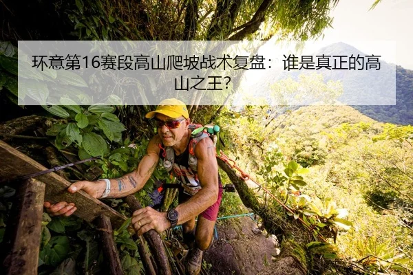 huan-yi-di-sai-duan-gao-shan-pa-po-zhan-shu-fu-pan-shui-shi-zhen-zheng-de-gao-shan-zhi-wang-2-574.jpg