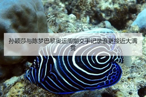 孙颖莎与陈梦巴黎奥运周期交手记录谁更接近大满贯