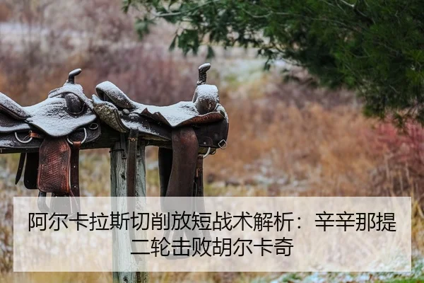 阿尔卡拉斯切削放短战术解析：辛辛那提二轮击败胡尔卡奇